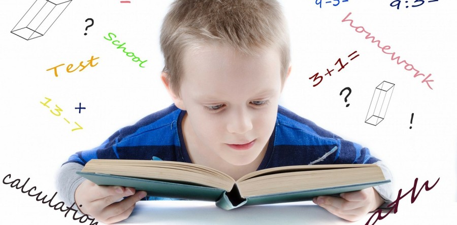 Back to School, Back to Reality, Back to Life (Insurance).