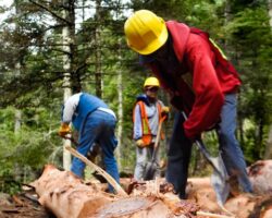 Is Work Working Against You?
