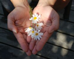 Random Acts of Kindness – Pay it Forward