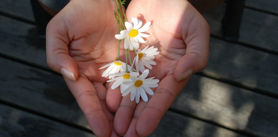 Random Acts of Kindness – Pay it Forward