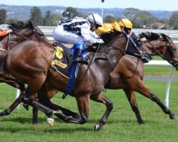 Protection Insurance A Safer Bet