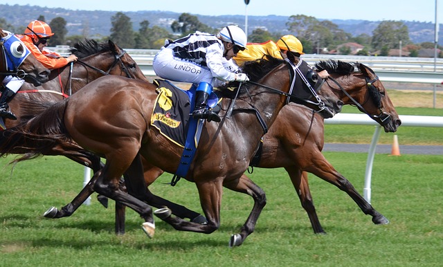 Protection Insurance A Safer Bet