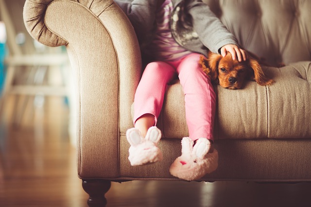 More Brits insure their phone and their pet, than take out critical illness cover