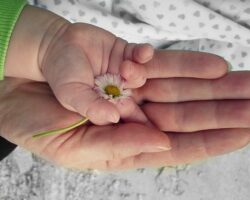 Putting your life insurance in trust