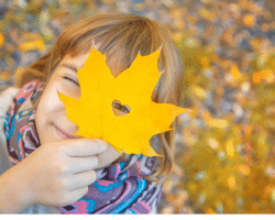 The Autumn Budget: What It Could Mean for Your Family