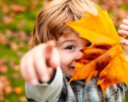 The Autumn Budget 2025: Are You Fully Protected?